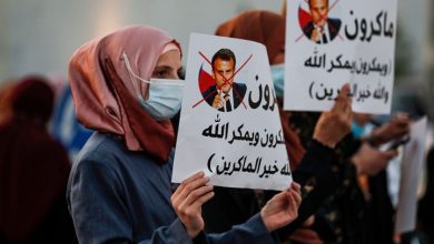 في أكناف المولد النبوي.. طقوسٌ مختلفة وحملات نصرة عالمية