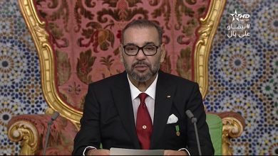خطاب المسيرة: المملكة تتشبث بالحكمة أمام الاستفزازات العقيمة
