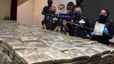 بقيمة 3.3 مليون رينجيت.. الشرطة الماليزية تضبط 1.3 طناً من الحشيش