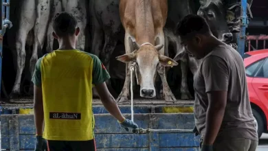 لحل أزمة السوق المحلي.. ماليزيا ترفع الحظر عن استيراد اللحوم من بعض الدول