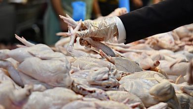 خلال فترة العيد.. زيادة توافر المواد الغذائية في الأسواق الماليزية بنسبة 30%