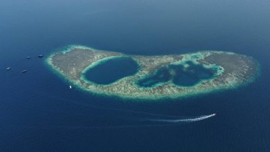 العاشر من نوعه في العالم.. وزارة السياحة الماليزية تطلق معلماً سياحياً جديداً