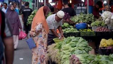مساعدات ومشاريع.. جهود ماليزية لحل أزمة الأمن الغذائي
